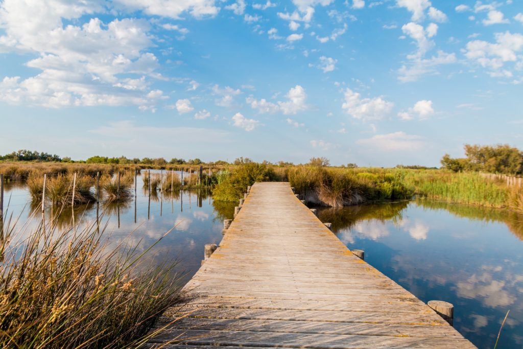 parc_naturel_regional_camargue_port_napoleon