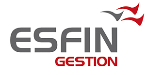 logo_esfin_gestion